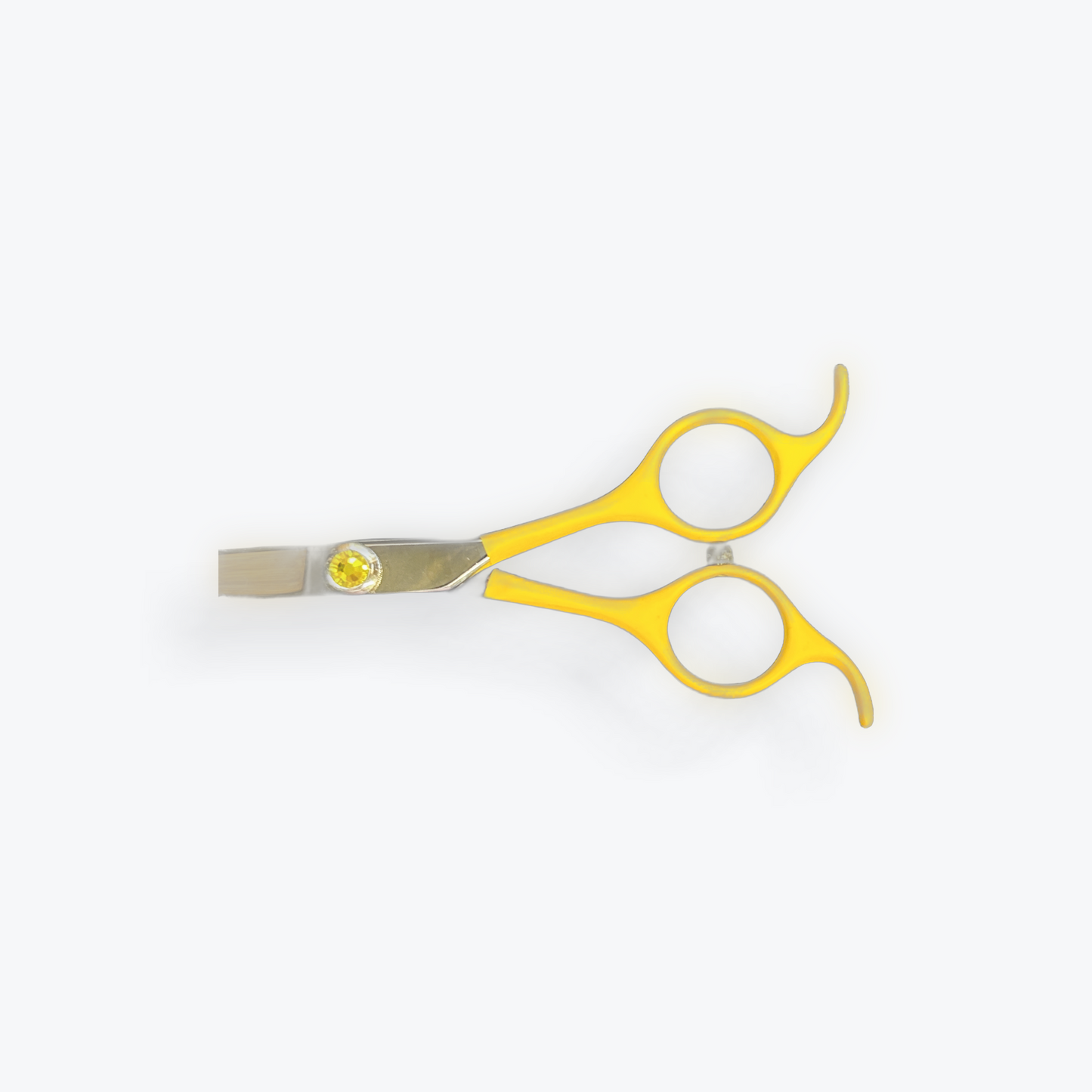 Asian Fusion 6.5" Curve