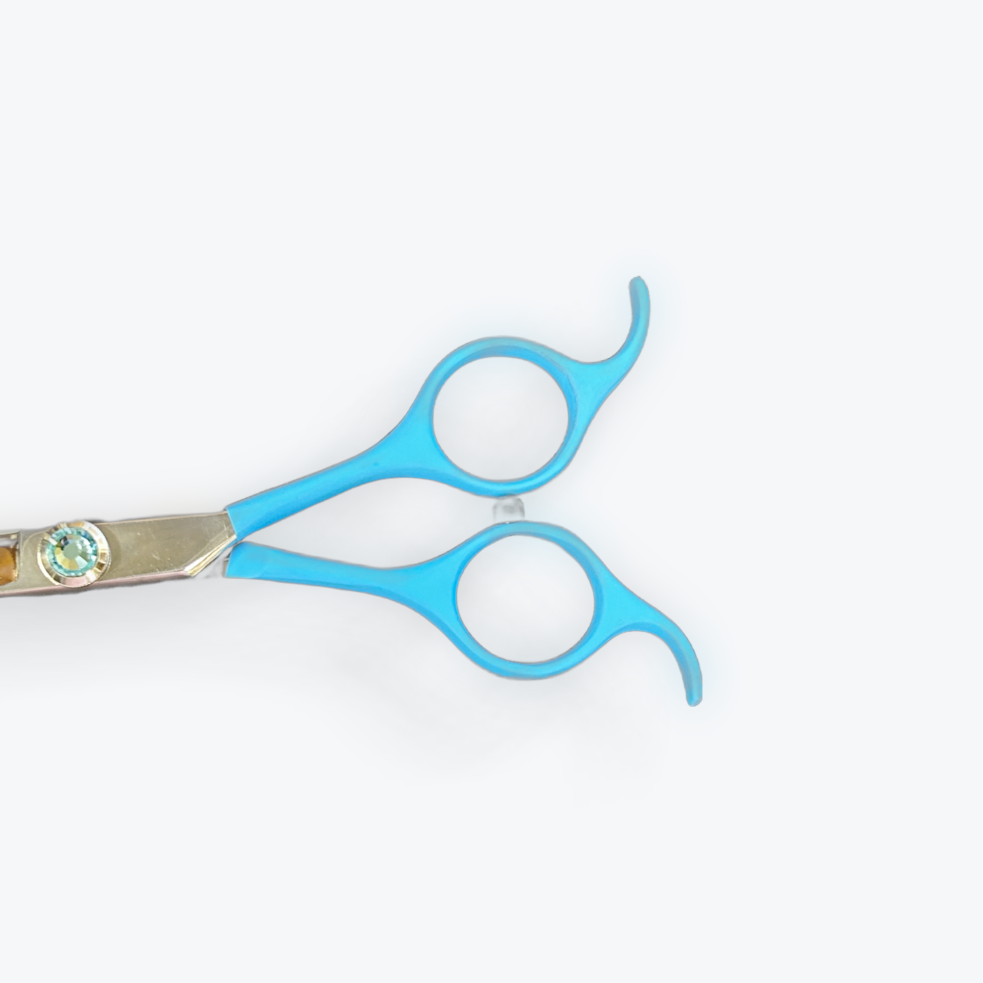 Asian Fusion 6.5" Curve