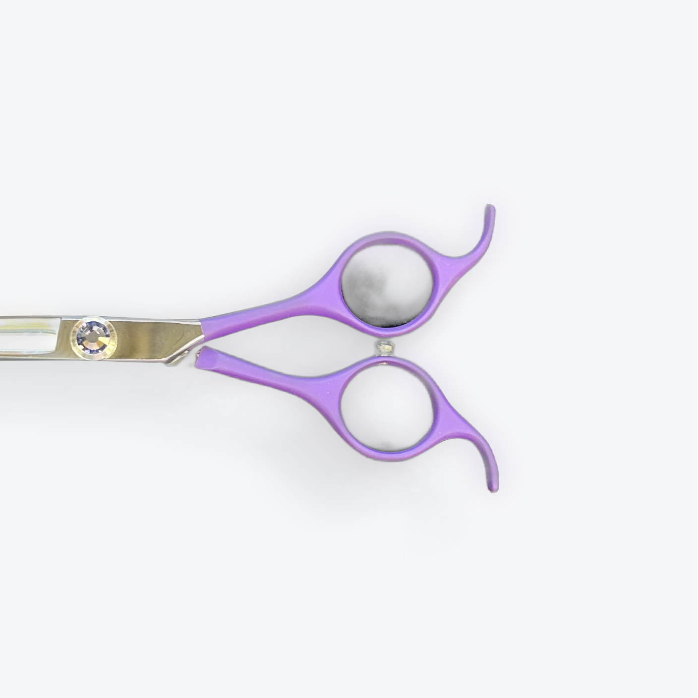 Asian Fusion 6.5" Curve